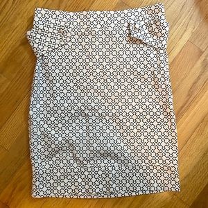 Fashionista Pencil Skirt